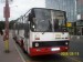 krasavec na linke 21
